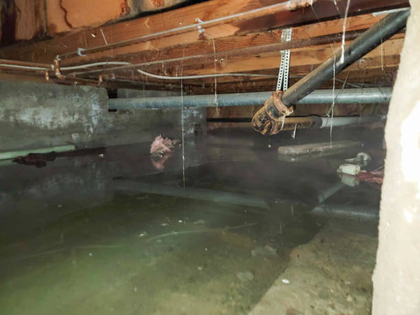 Best Flooded house restoration  in Minot Af, ND