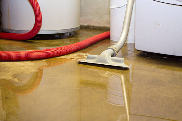 Best Professional water damage repair  in Minot Af, ND