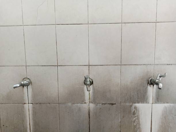 Best Mold removal after water damage  in Minot Af, ND