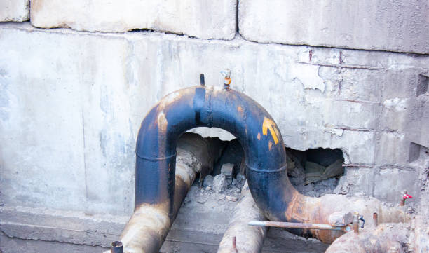Best Water damage contractors near me  in Minot Af, ND