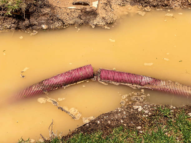 Best Carpet water damage restoration  in Minot Af, ND